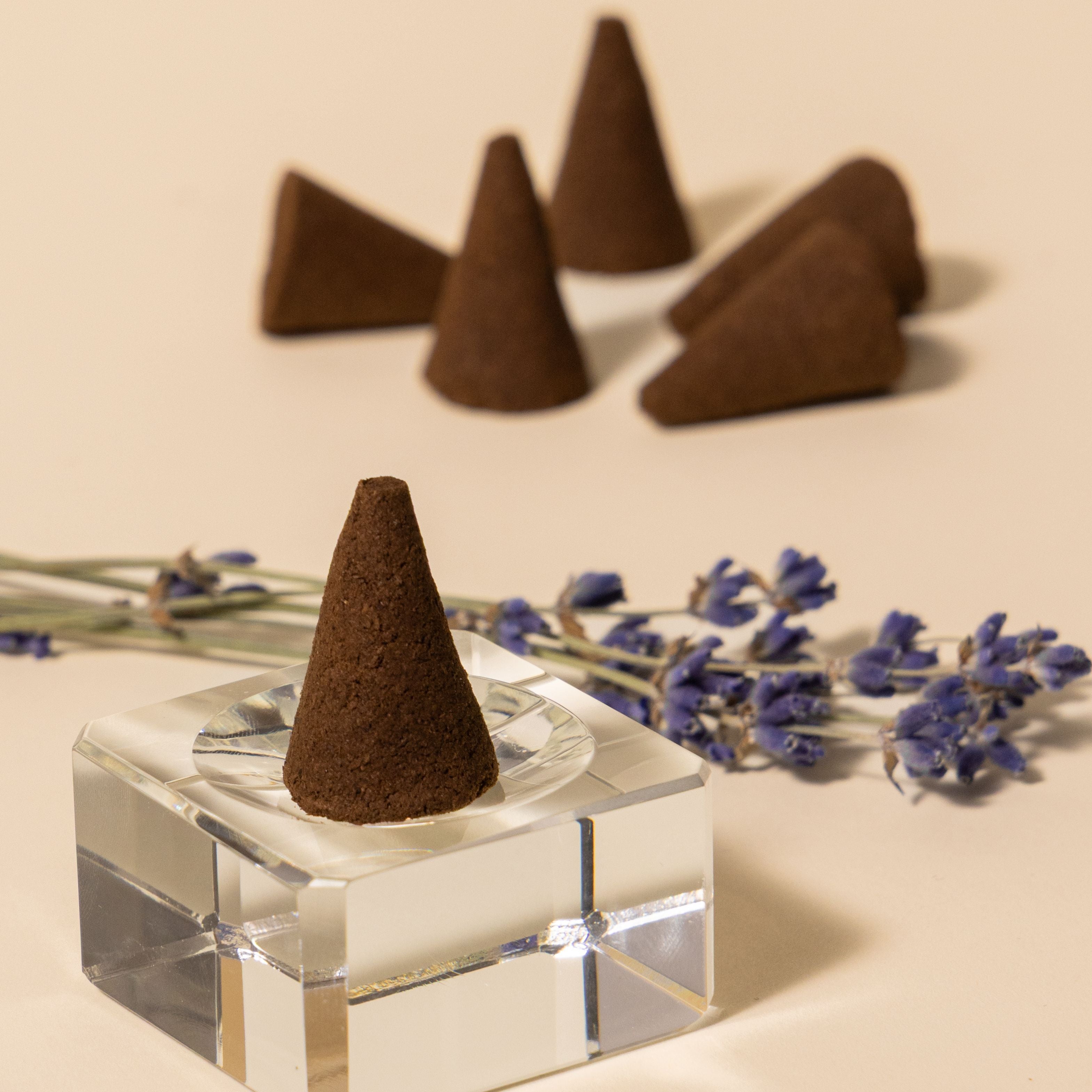 Lavender - Bait Almarshoud